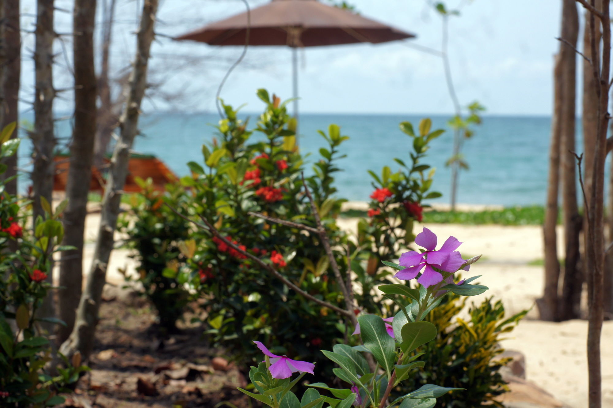 Gold Sand Beach Bungalow Phú Quý Zewnętrze zdjęcie